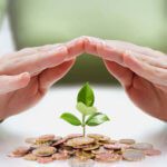 Two hands cupping a small plant sprout, symbolizing the protection and nurturing of a new business.
