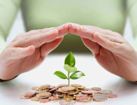 Two hands cupping a small plant sprout, symbolizing the protection and nurturing of a new business.
